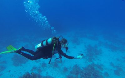 Red Sea Northern Reefs and Wrecks