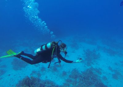 Padi Enriched Air Diver Course in Essex