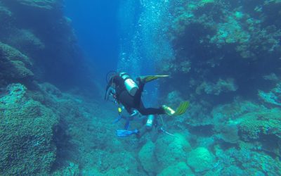 Diving In The Red Sea Egypt 2019